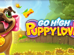 Go High Puppy Love Game